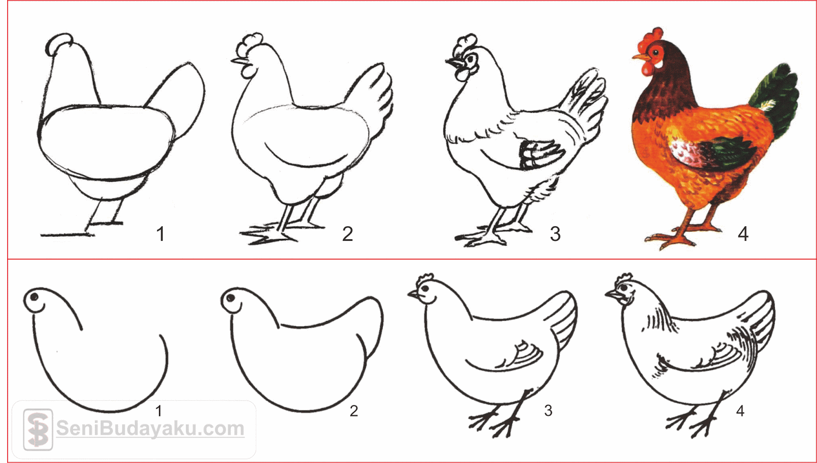 10 Cara Menggambar Ayam Dengan Mudah - Seni Budayaku
