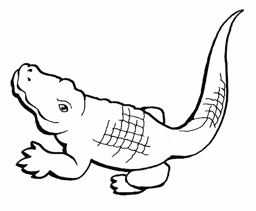printable coloring pages crocodile - photo #18