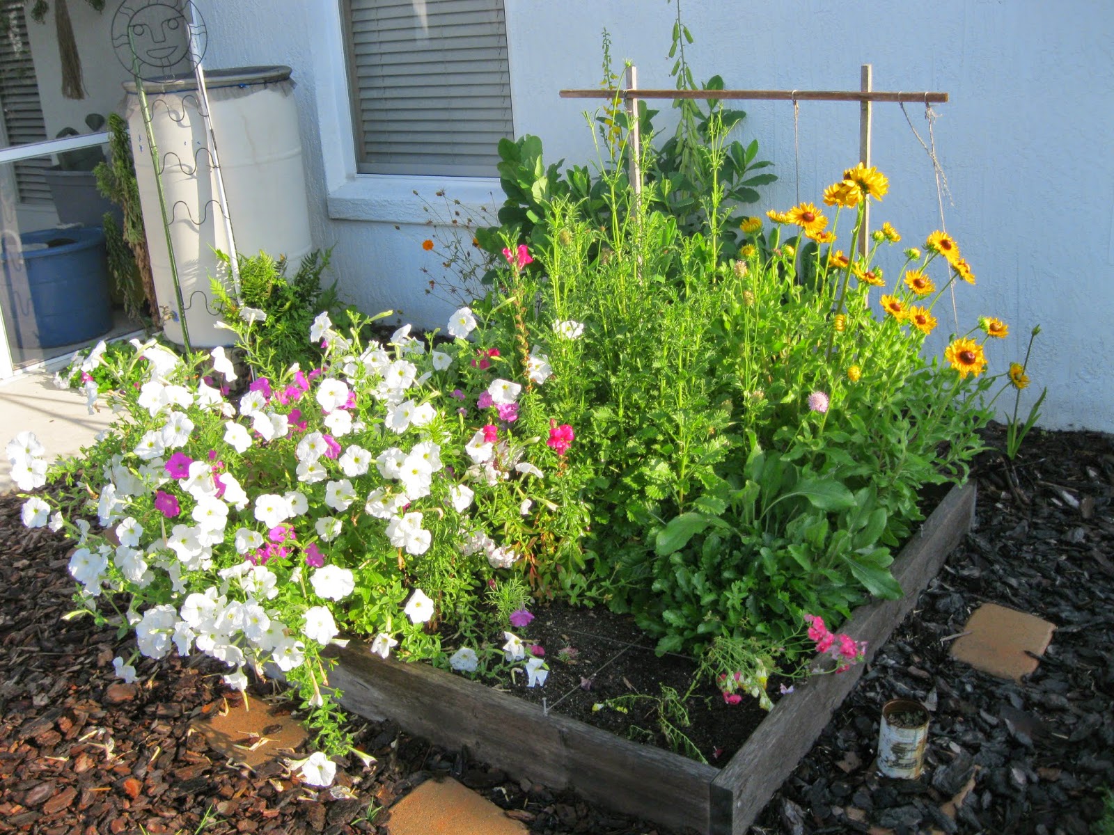 Maple Hill 101 Hosting Butterflies