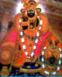Hare Krishna-Sri Bihari Ji
