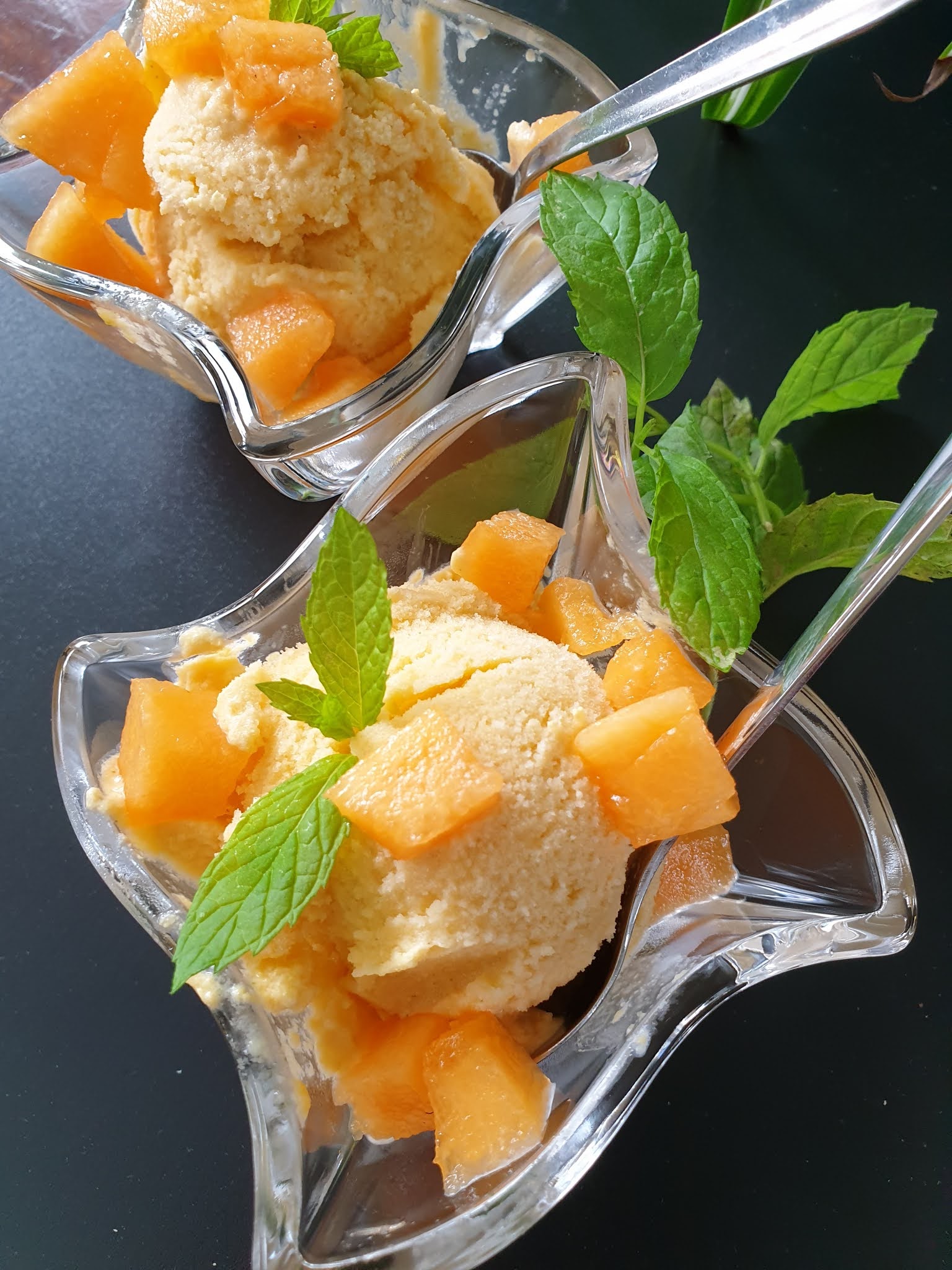 FloViCook Sorbet melon et menthe, sans sorbetière