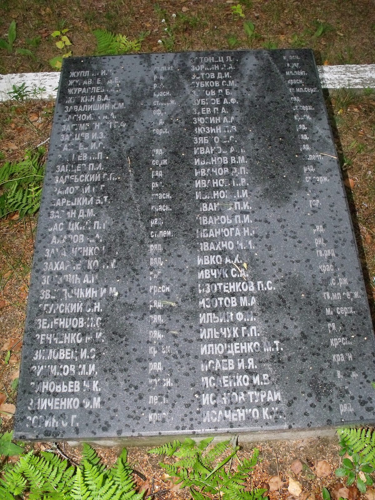 Гомель братская могила советских воинов. Гомельская область захоронения. Паричи светлогорский район. Гомельская область захоронения. Гомельская область захоронения.