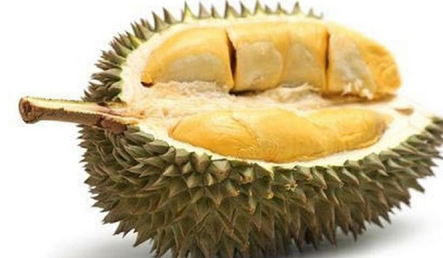 Jenis Durian