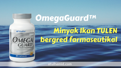 OMEGA 3 BAIK UNTUK IBU DAN BAYI