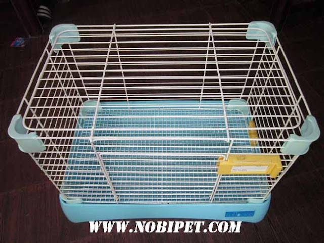 Cach-nuoi-bo-u-chuot-lang-guinea-pig-tu-a-z-3