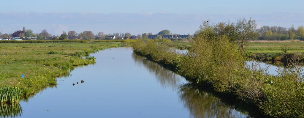 Natuur en Landschap..: Winterdijk en de Reeuwijkse plassen..