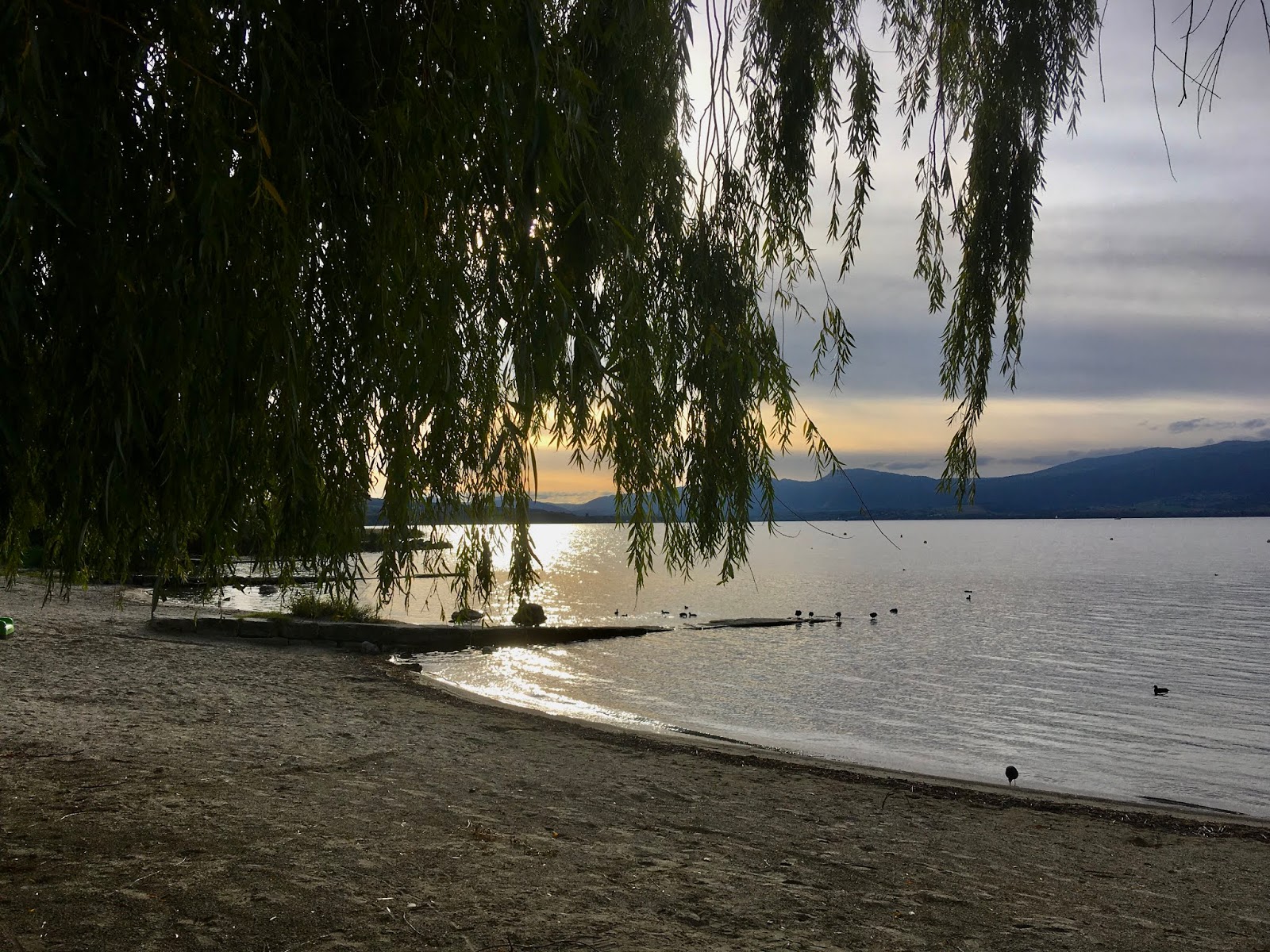 Bern Dies Und Das Blog Barndutschi Gedicht Berndeutsche