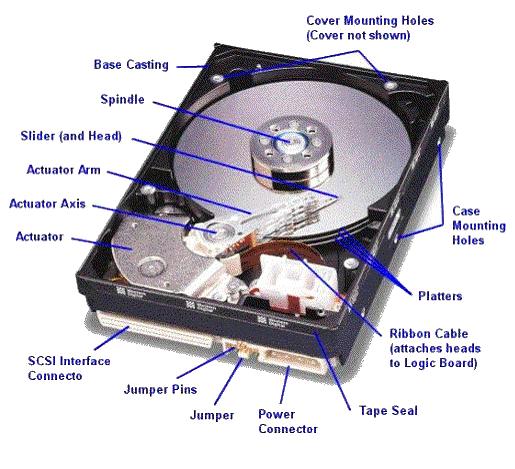 TIC'S: Dispositivos perifèricos de entrada.