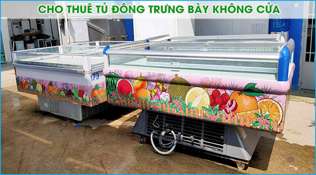 HCM - Giới thiệu dịch vụ cho thuê tủ đông giá rẻ trọn gói từ A đến Z tại miền Nam Cho-thue-tu-dong-khong-cua