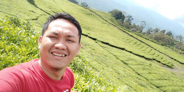 Wisata kebun teh gunung dempo pagar alam