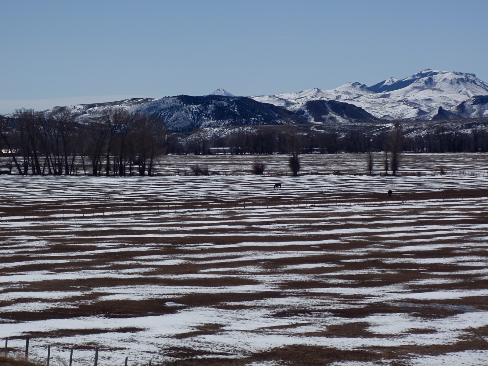 One Day in America Two Hours in Wyoming