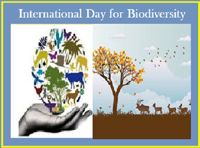 International Day for Biological Diversity Celebrating the richness of Life and Nature