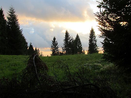 Polana Studzionki. Polana Studzionki.