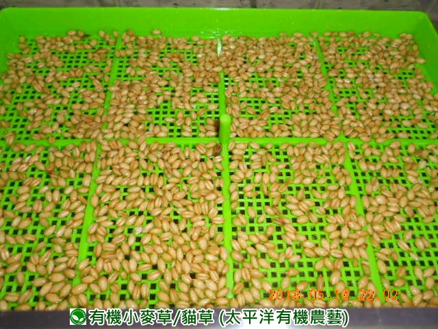 �p��,�߯�ش�,�߯�شӤ�k,�߯�,�߯�O����,�߯�diy,�߯�p����,�߯����,�^�K���@�k,�ؿ߯�