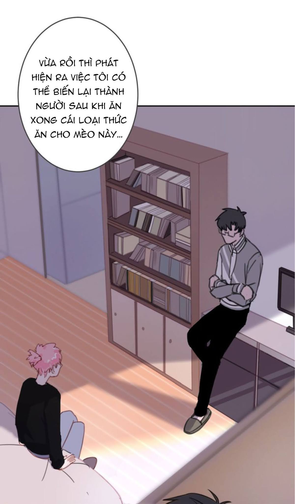 Đọc truyện Thế giới của một chú mèo - Chapter 7
