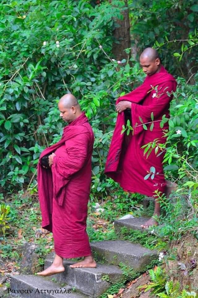 තුරුලතා වලින් වටවුණු - බෝධිනාගල ආරණ්‍යය 🙏 (Bodhinagala Forest Hermitage) - Your Choice Way