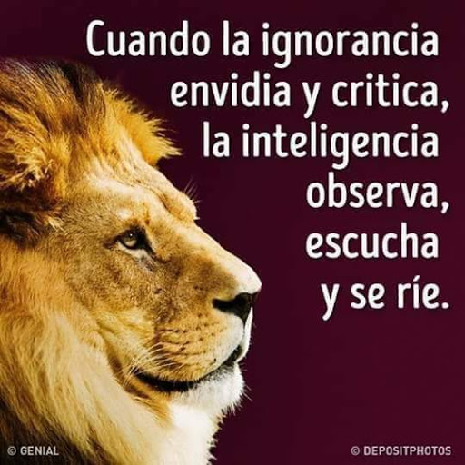 My Image 23