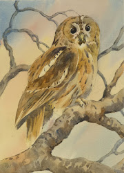 webb david watercolour animals margam talbot fsc discovery port weekend centre course painting last