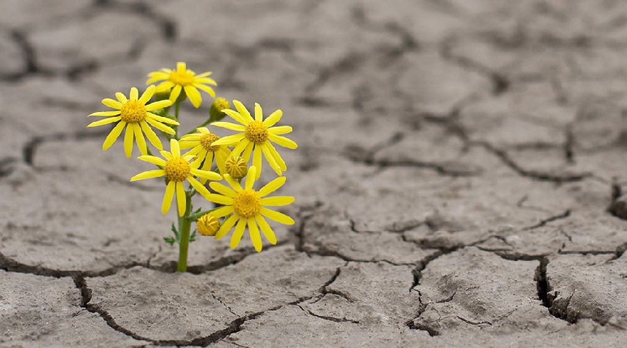 13 ways to increase resilience