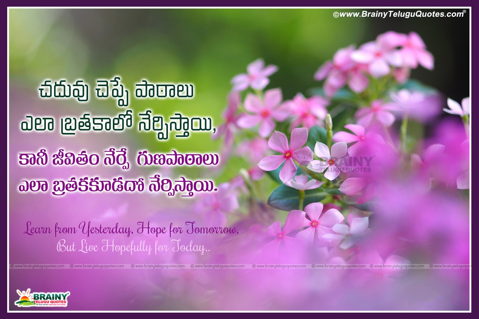 Motivational Life Changing Quotes In Telugu With Beautiful Hd Wallpapers Brainysms