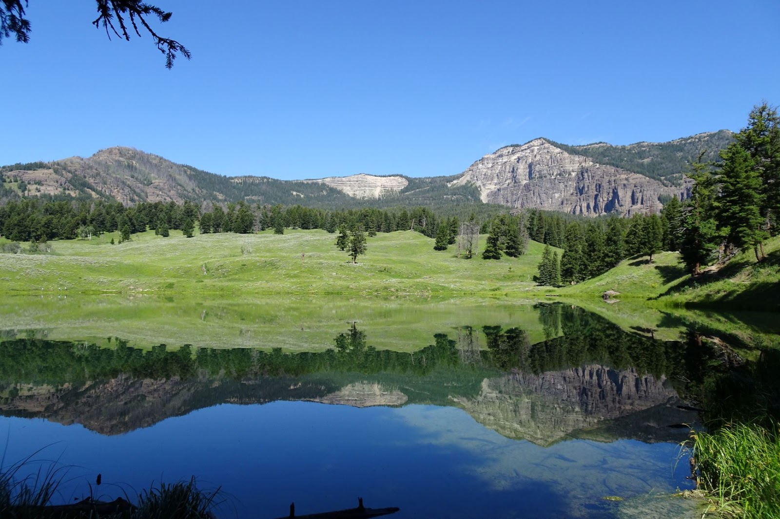 Traveling with Deals Yellowstone Lamar Valley & Waterfalls