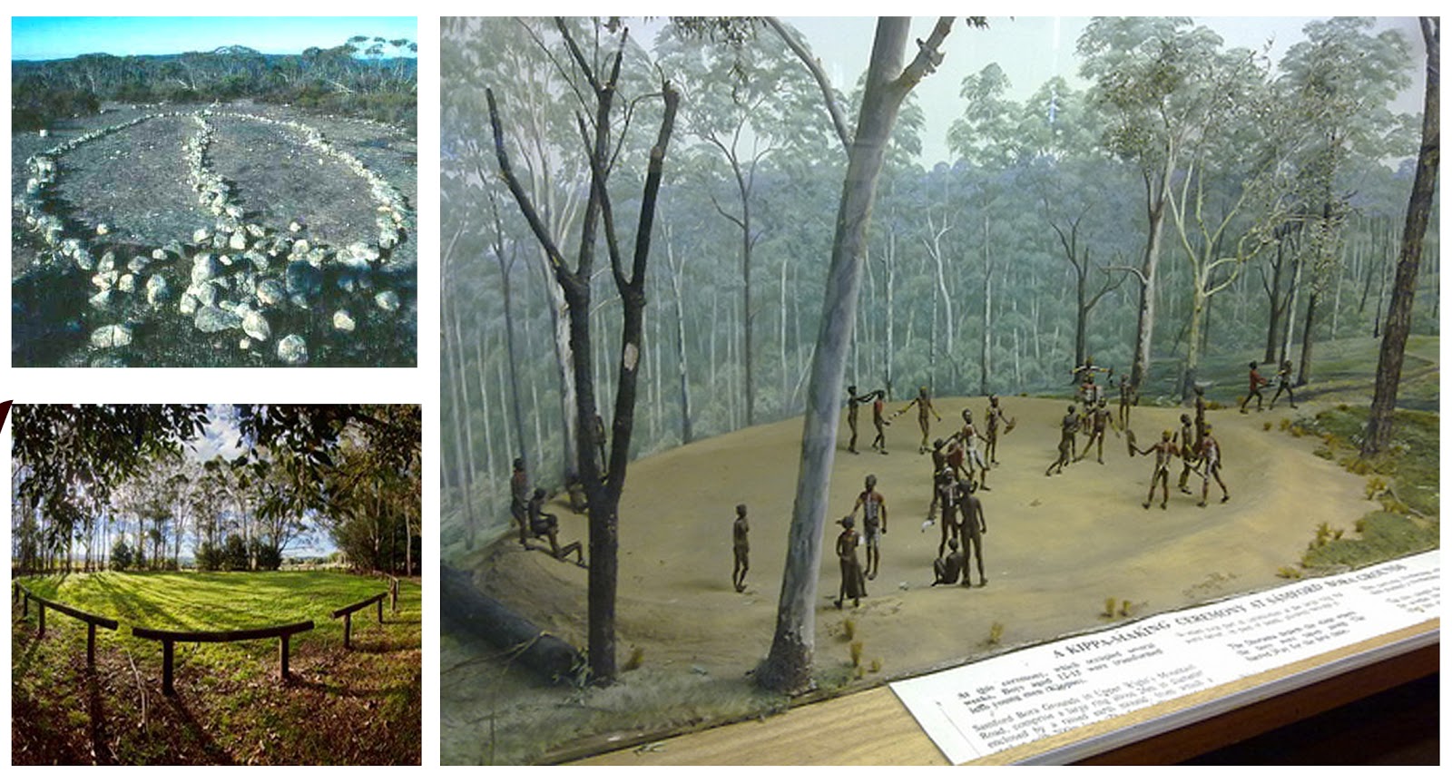 Dwina Marcella Sugianto LieDAB810 WEEK 11Design Concept (Bora Ring)