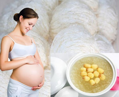 Yến sào chưng hạt sen- món ăn thơm ngon bổ dưỡng cho phụ nữ mang thai