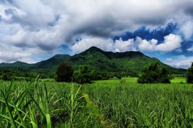 bukit maskumambang