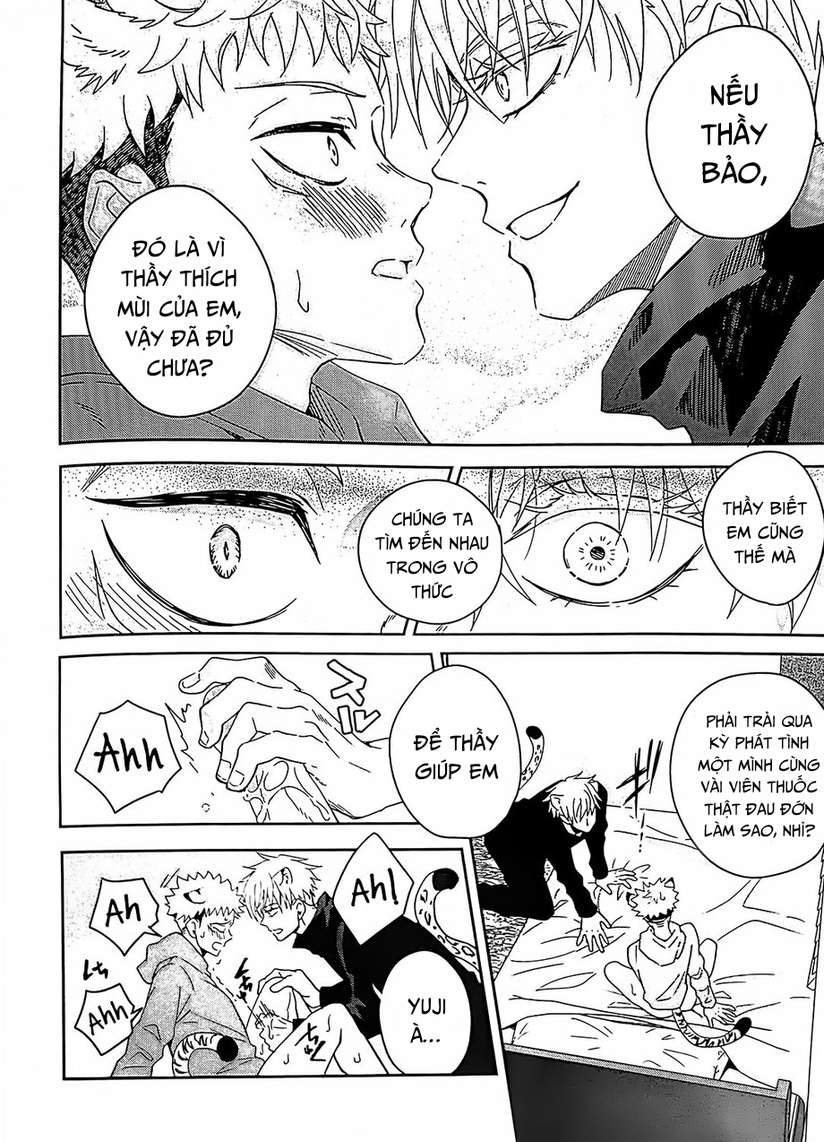 Đọc truyện Jujutsu Kaisen Omegaverse cat - Chapter 1
