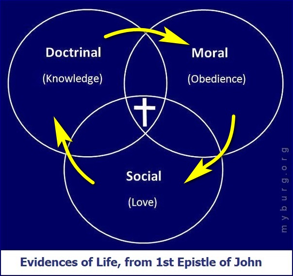bible reading may 24-25