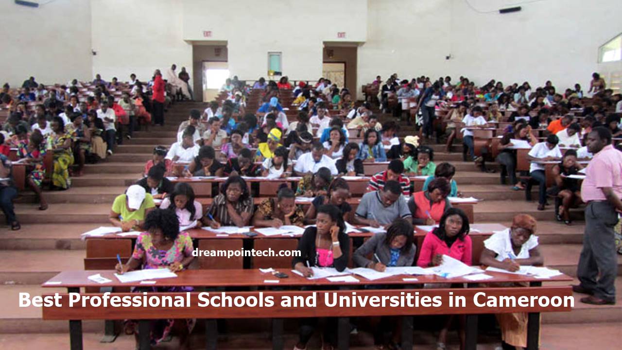 Best Professional Schools and Universities in Cameroon