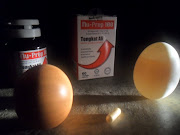 Eclipse 2011, vertical eggs- long jack Nu-Prep 100 ( US patent,Europe )