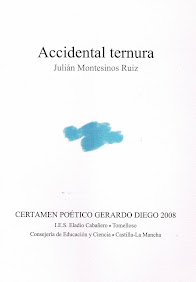 ACCIDENTAL TERNURA/ POESÍA / 2008 /
