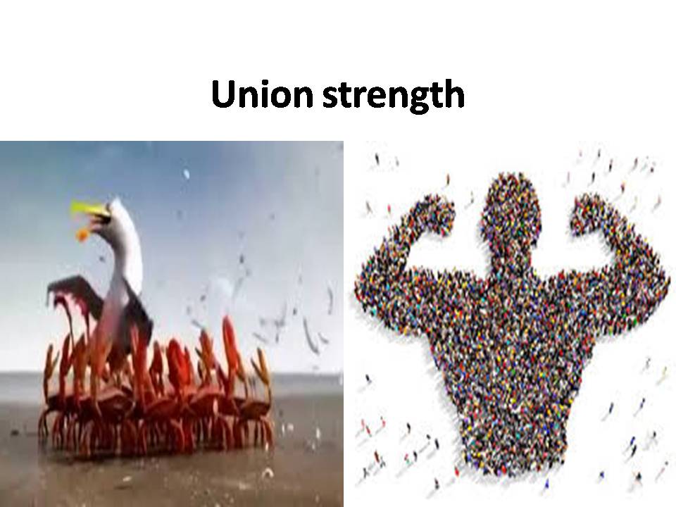 union is strength