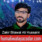 https://humaliwalaazadar.blogspot.com/2019/08/zakir-bilawal-ali-hussaini-nohay-2020.html