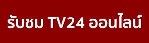 TV24 Online