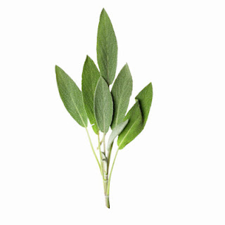 Medicinal Herb: Sage. Primarily for -- inflammation of mouth and throat, indigestion, menopausal symptoms, boost memory, and improve mood. 31Daily.com