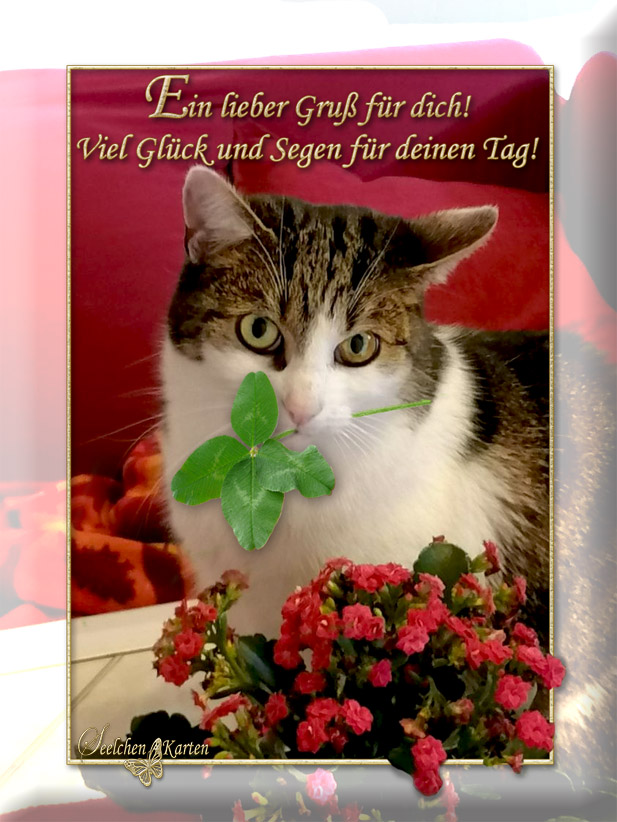 Viel Glück Und Viel Seegen Seelchen Karten und Collagen : Viel Glück und Segen für deinen Tag