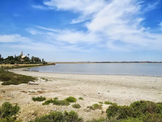 Cyprus Road Trip Itinerary: The Salt Lakes of Larnaca