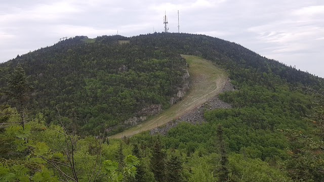 Vue du mont Orford à partir du Sentier des Crêtes