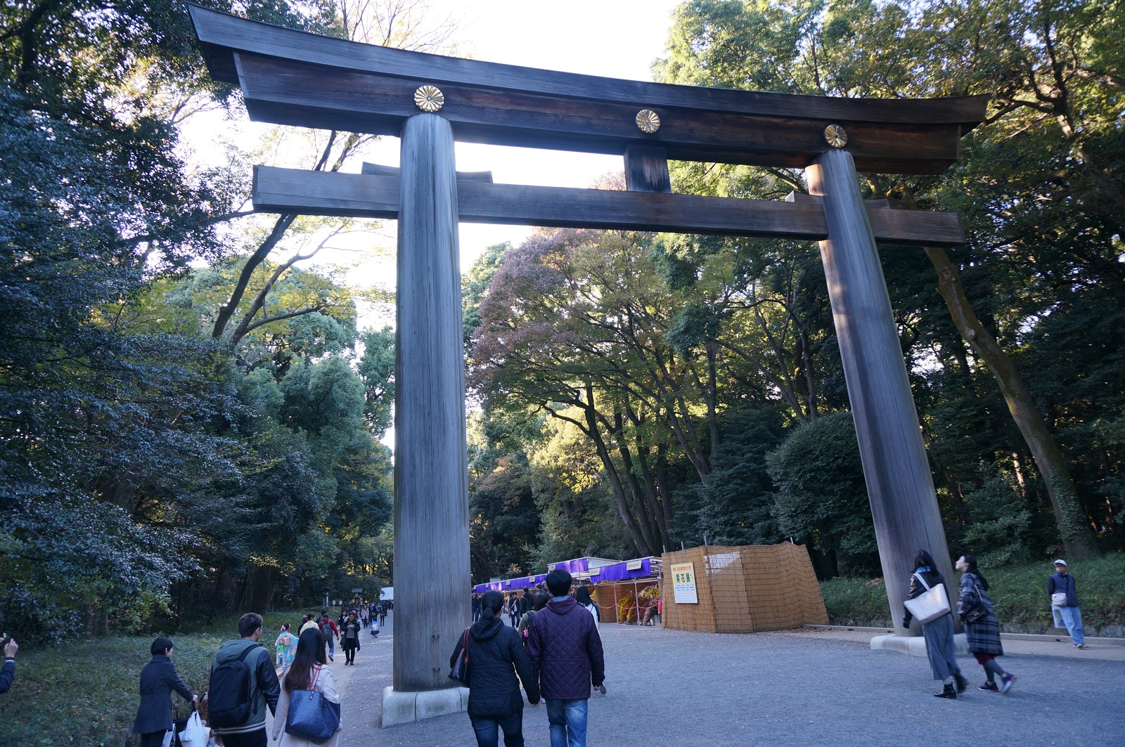喜歡大自然 東京七日自由行 1 11 19日 明治神宮與代代木公園