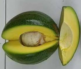 Download Alpukat Adalah Images