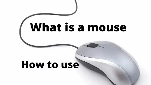 What is a mouse and how to use with computer