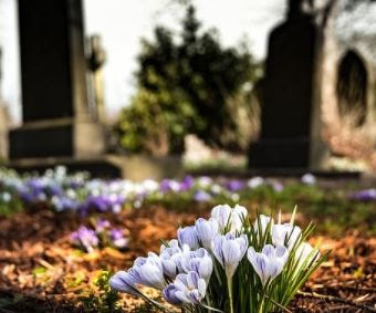 Arti Mimpi Ziarah Ke Kuburan Ibu