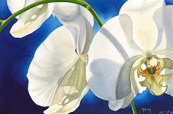 marney ward orchid paintings watercolor artist floral glow watercolour spotlight sfca varias cosicas акварель する アクセス acuarela porelamoralarte guardado desde