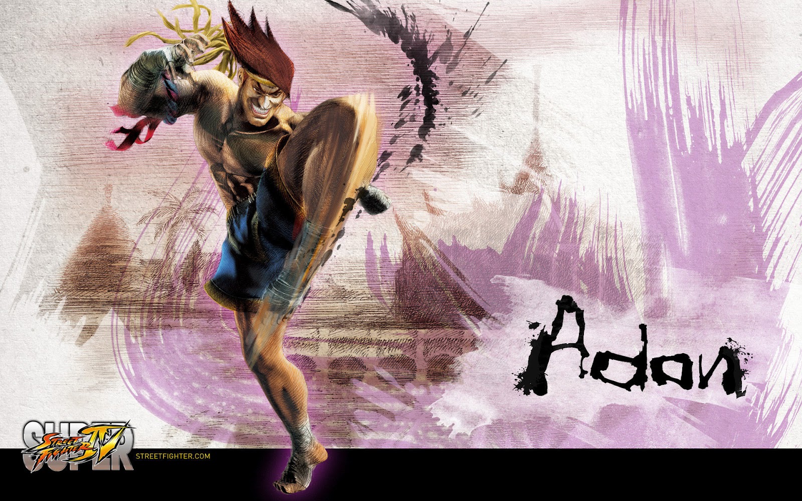 Digital HD Wallpapers: Street Fighter 4 Wallpapers Pack HD [Set-1]