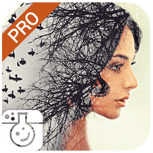 Photo Lab PRO Picture Editor v3.6.5 Patched APK is Here ! Photo Lab PRO Picture Editor v3.6.5 Patched APK is Here !