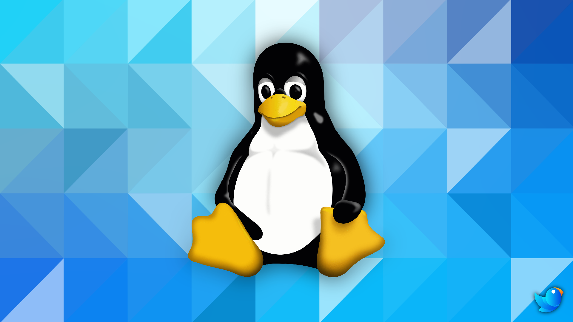 best linux distro for vmware workstation best linux distro for vmware workstation