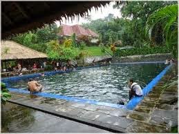 http://roniardy.blogspot.com/2015/03/3-wisata-kolam-terbaik-lombok.html