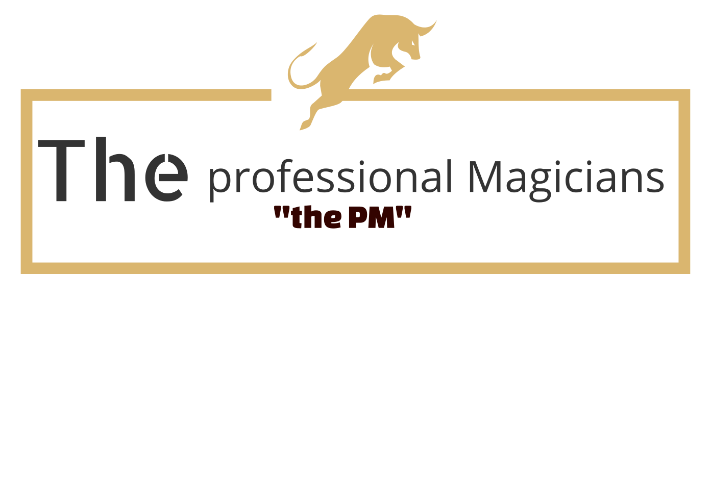 the professional magicians